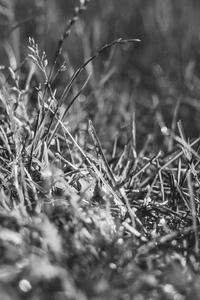 Reviewer avatar